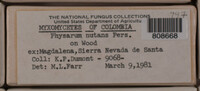 Image Associated With the Occurence